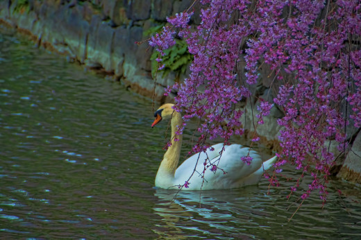 518684 (a): :2560x1700